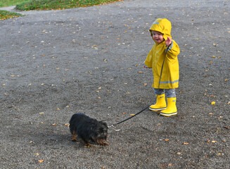 Little boy wearing yellow rain coat walking with his dog
