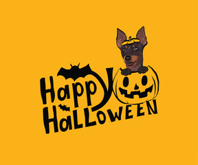 Happy Halloween postcard with English Toy Terrier dog peeking out from the pumpkin. Dog head in pumpkin with paws. October hand-drawn calligraphy with halloween funny icons. Festive Creative Halloween