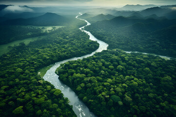A River Flowing Through Untouched Amazon Rainforest
