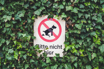 Schild mit der Aufschrift Bitte hier nicht und einem durchgestrichenen Hund - Verbotsschild...