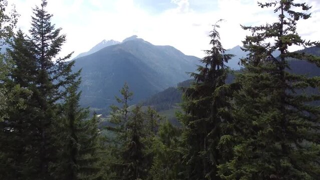Navigating through a dense forest of tall trees in the Rocky Mountains of BC, Canada. Emerging into an open valley surrounded by towering mountains, capturing stunning aerial footage of the landscape.