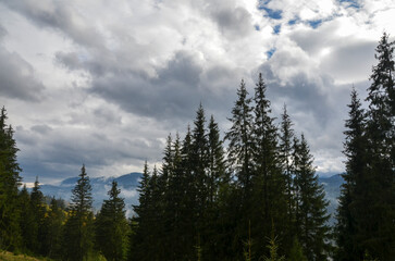 Misty landscape with fog and low lying clouds on mountain range and fir forest. Carpathian mountains on autumn. Ukraine