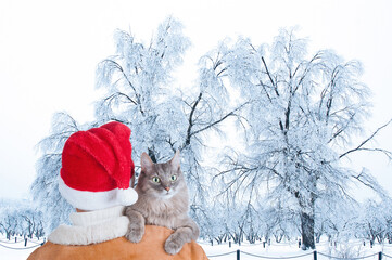 Back view of man in Santa Claus hat with gray cat in winter park
