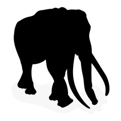 Silhouette image of a black elephant on a white background