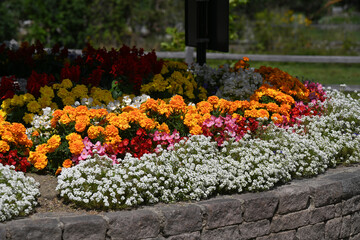 AIUOLA GIARDINO FIORI 