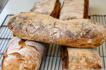 White wheat campagne baked farmers bread pain from artisanal French bakery