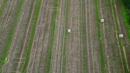 Norfolk, East Anglia, UK – August 28 2023. Aerial footage of a harvested wheat field and left over random haybales in the East Anglian countryside, UK