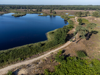 Aerial view on blossom of heather, forest and lakes. Sunny morning in Nature protected park area De Malpie near Eindhoven, North Brabant, Netherlands. Nature landscapes in Europe.