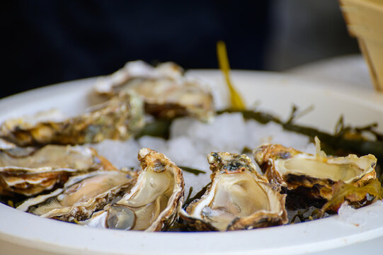 Fresh french Gillardeau oysters molluscs shucked on ice with lemon ready to eat close up