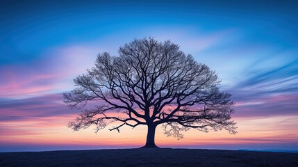 Fototapeta na wymiar A solitary tree stands prominently against a mesmerizing gradient of twilight hues, creating a silhouette that exudes serenity and majesty.