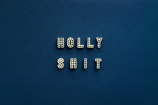 Conceptual photo of lettering &lsquo;Holly shit&rsquo; made up of alphabet pasta against dark blue background, close-up view  