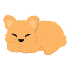 Isolated sleeping dog Domestic animal Vector