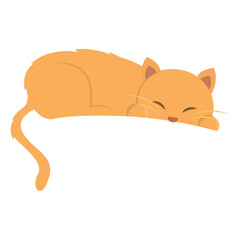 Isolated happy cute cat Domestic animal Vector