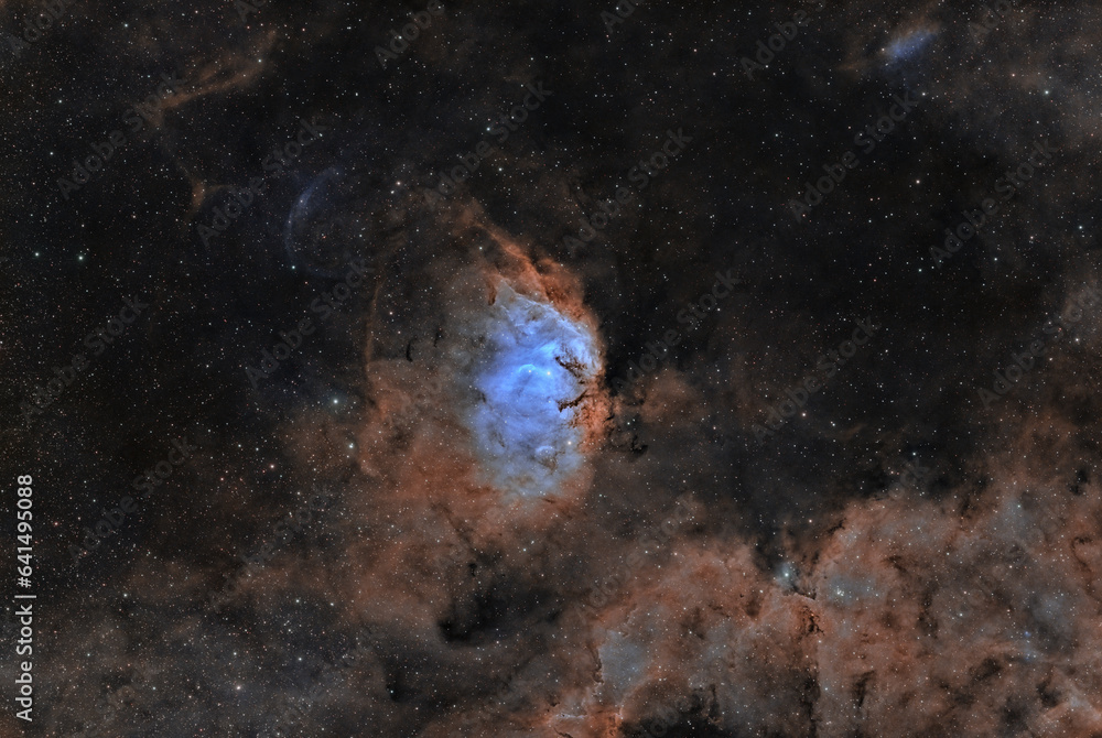 Canvas Prints the tulip nebula is a reflection nebula found in the cygnus star cloud - noone owns the items in spa