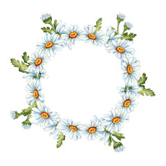 Watercolor illustration frame wreath of white daisies with buds. Compositions for weddings, posters, postcards, banners, flyers, covers, posters and other printing products. isolated