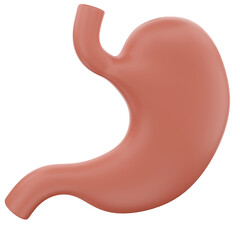 stomach 3D render isolated background