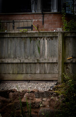 old wooden fence. 