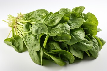 A bunch of spinach on a white background tied with a thread