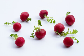 Fresh radish on white background.