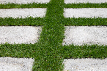 Walkway cement block on fresh lawn grass. Beautiful green garden