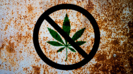 it is forbidden to use cannabis or no cannabis as background