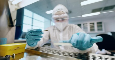 Science, safety and person with petri dish in laboratory for research, medical study and virus cure by screen. Healthcare, biohazard and scientist with sample for data analysis, biology and chemistry - Powered by Adobe