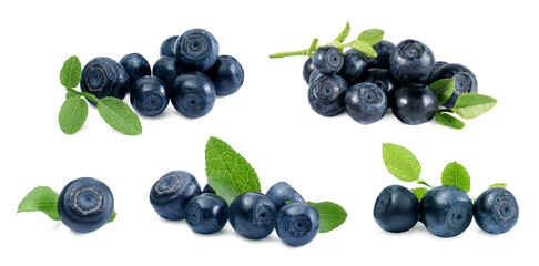 Set with tasty fresh bilberries and green leaves isolated on white