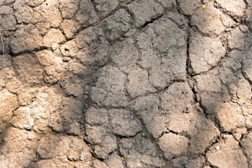Wall texture soil dry crack pattern of drought lack of water of nature brown old broken background.