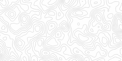 Background lines Topographic map. Geographic mountain relief. Abstract lines background. Contour maps. Vector illustration, Topo contour map on white background, Topographic contour lines.