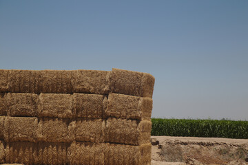 Stacks of Hay