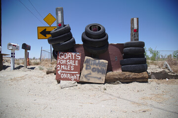 Goats For Sale Near El Mirage California