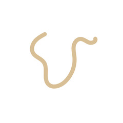 orange brown squiggly doodle lines