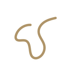 orange brown squiggly doodle lines