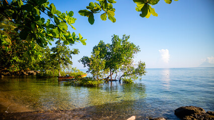 a small boat among the mangroves on the beach