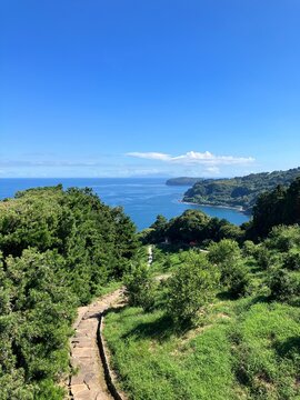 【小田原】山と相模湾の海の風景