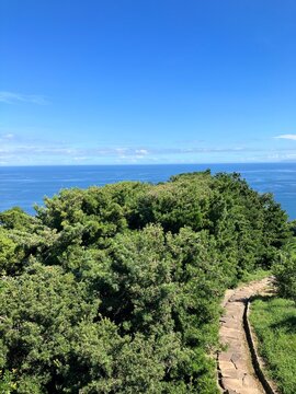 【小田原】相模湾と森の風景
