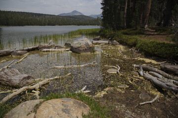 Dog Lake Trail Yosemite National Park