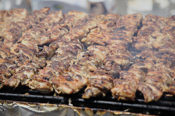 Grilled Chicken Skewers