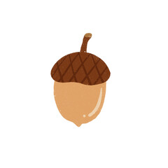 Acorn