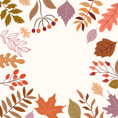 Autumn background with colorful leaves and berries