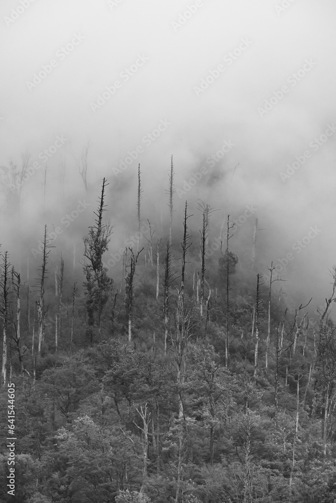 Poster mountain fog