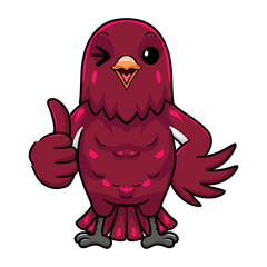 Cute pompadour cotinga bird cartoon giving thumb up