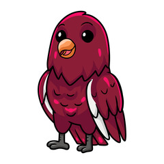 Cute pompadour cotinga bird cartoon