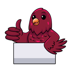 Cute pompadour cotinga bird cartoon giving thumb up