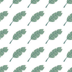 Seamless pattern with leaves monstera - 641549818