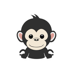 Baby Monkey with  Isolated on White Background