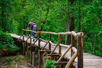 Tourists walk in the park on a wooden deck in the green forest near the lake. Plitvice Lake, Croatia, Central Europe, travel and nature concept
