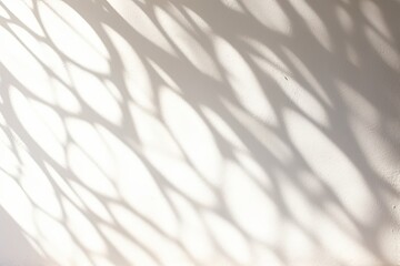 background of organic shadow over white textured wall, Generative AI