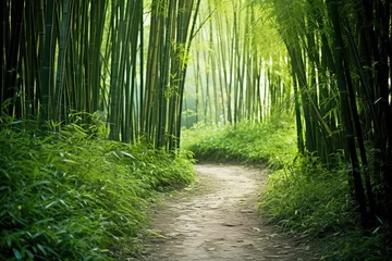 Fotobehang Trail in a bamboo forest © Aleksandr Bryliaev