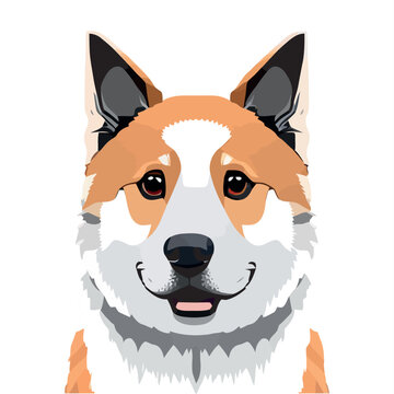 Akita dog smiling at the camera on white background